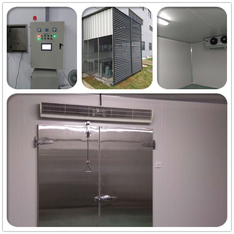 醫(yī)藥冷庫(kù)——江蘇南京奧賽康藥業(yè)旗下 醫(yī)藥冷庫(kù)——江蘇南京奧賽康藥業(yè)旗下