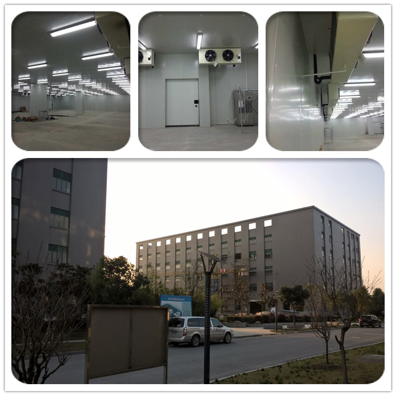 1545977382630545.jpg 未命名_副本.jpg