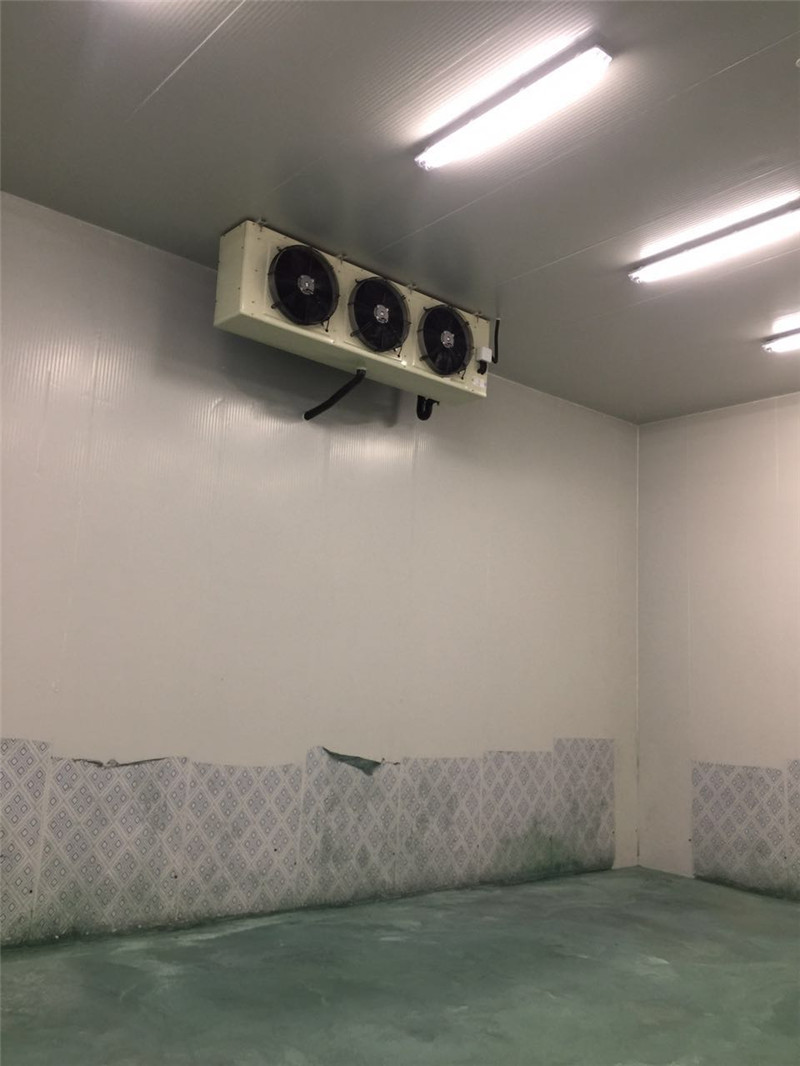 小型醫(yī)藥冷庫建造的特點(diǎn)