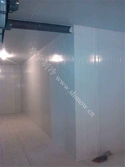 冷藏冷庫貯存一噸多少錢 冷藏冷庫貯存一噸多少錢