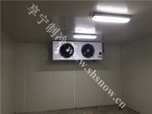 投資氣調(diào)冷庫(kù)需要知道的4點(diǎn)知識(shí) 投資氣調(diào)冷庫(kù)需要知道的4點(diǎn)知識(shí)