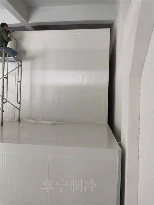 上海速冰奇貿(mào)易有限公司燒烤凍品批發(fā)鋁排冷凍庫項目 上海速冰奇貿(mào)易有限公司燒烤凍品批發(fā)鋁排冷凍庫項目