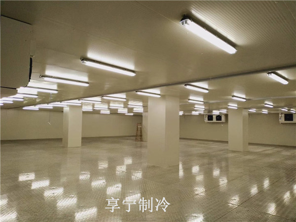 1557727641481358.jpg 微信圖片_20181220084442.jpg