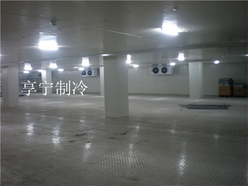 虹口區(qū)冷藏冷庫工程
