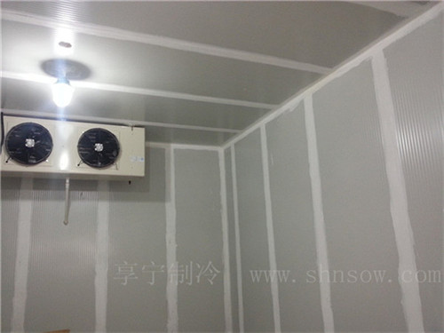 奉賢區(qū)保鮮冷庫工程