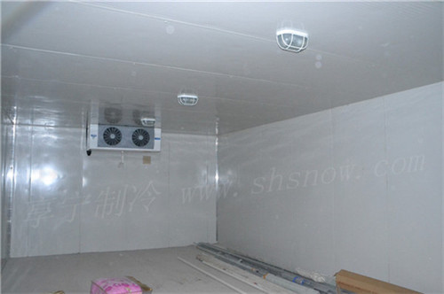 青浦區(qū)保鮮冷庫(kù)工程