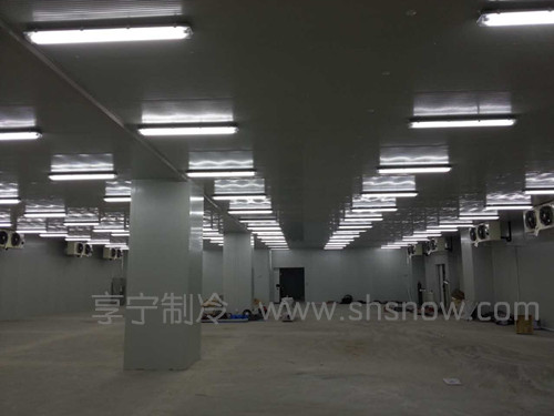 寶山區(qū)保鮮冷庫工程