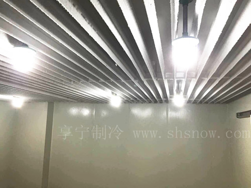 寶山區(qū)氣調(diào)冷庫工程