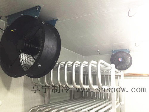 寶山區(qū)氣調(diào)冷庫工程