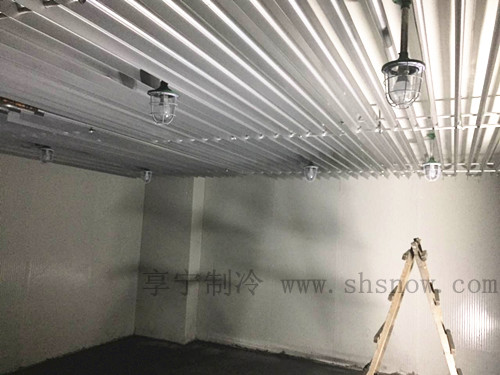 50平鮮花冷庫建造多少錢？