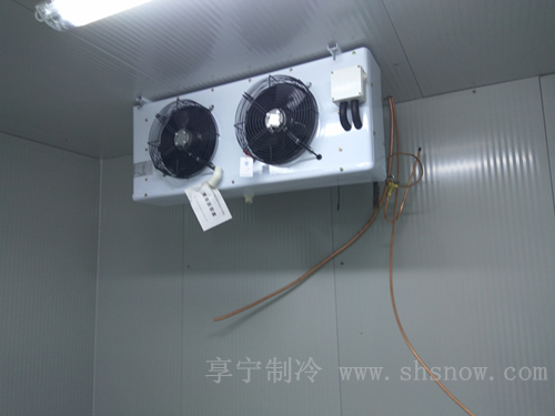 建一個(gè)40平方米的簡易冷庫需要多少錢