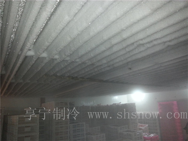 水產(chǎn)品如何在冷凍冷庫中存儲(chǔ)好