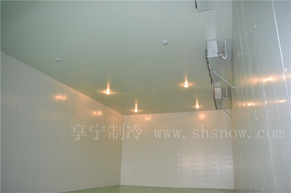 50平米的萵苣冷庫(kù)建造投資成本是多少 50平米的萵苣冷庫(kù)建造投資成本是多少