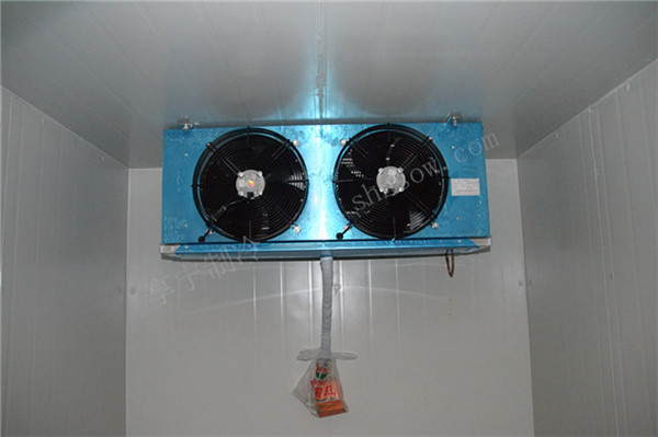 50平米的萵苣冷庫(kù)建造投資成本是多少 50平米的萵苣冷庫(kù)建造投資成本是多少