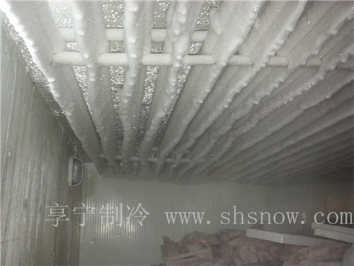 建造100平的海鮮冷庫需要多少預算？