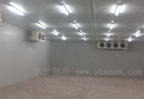 在農(nóng)村建造一個(gè)小型冷庫能賺錢嘛