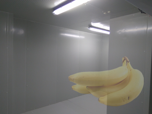 1000噸果蔬氣調(diào)庫造價(jià)大概多少錢？