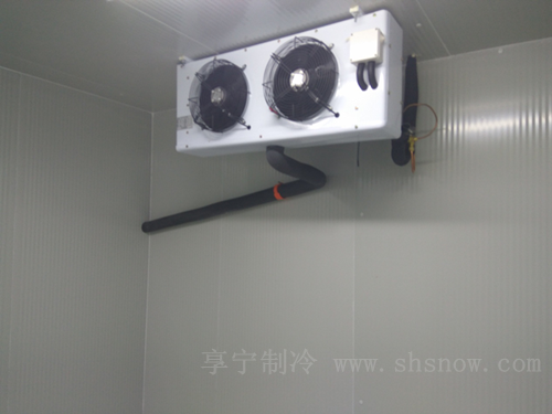 管理冷庫安全的重要性體現(xiàn)在什么地方？