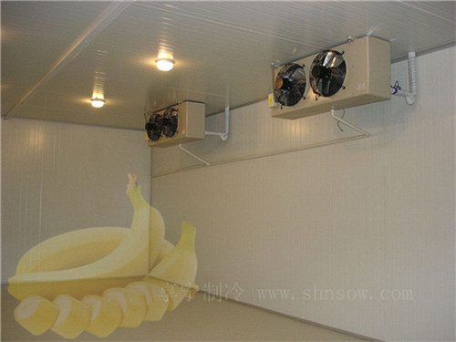 建造一個鋁管冷庫需要準備多少錢？