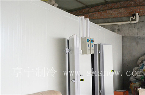 冬瓜在冷庫中如何進行保鮮？