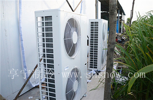 水果放在冷庫的溫度怎么去管控？