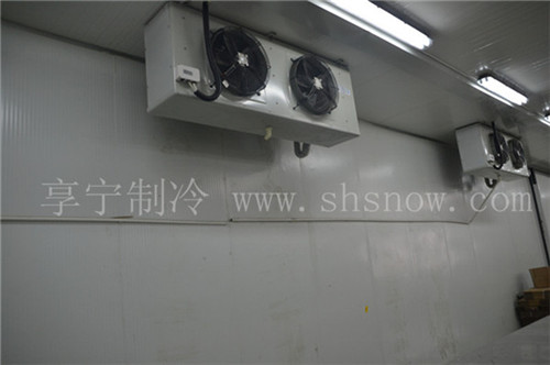 怎么樣去建造有一個(gè)冷庫(kù)？