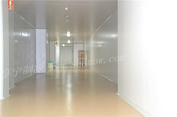 家用50平沙果冷庫(kù)設(shè)計(jì)價(jià)格