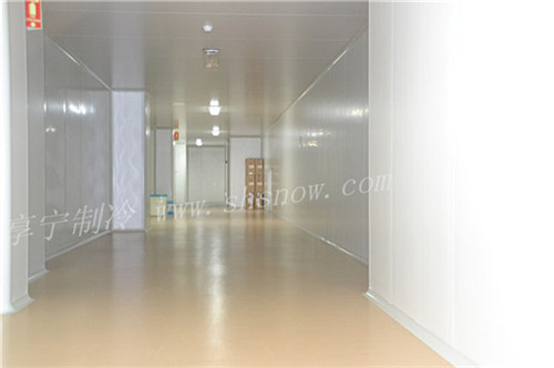 設(shè)計小型梅子冷庫需要多少錢 設(shè)計小型梅子冷庫需要多少錢