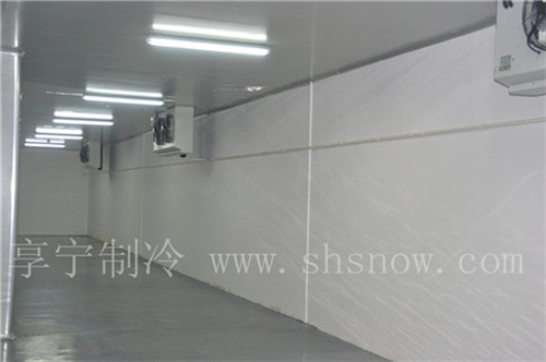 設(shè)計小型梅子冷庫需要多少錢 設(shè)計小型梅子冷庫需要多少錢