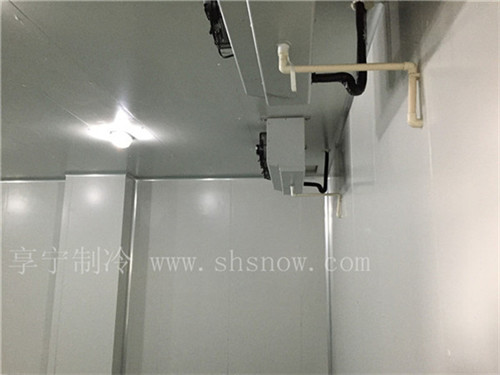 存放蒜的冷庫(kù)能放保鮮劑嘛