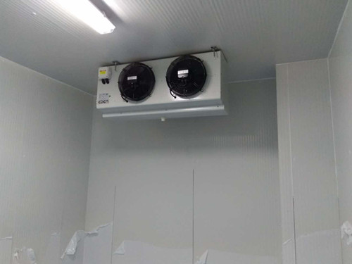 設(shè)計(jì)80平方蒜苔冷庫(kù)需要準(zhǔn)備多少錢