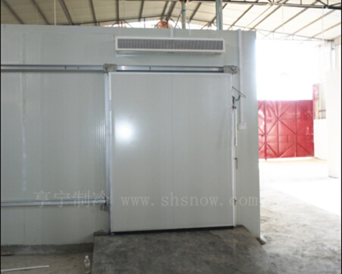 提子怎么在冷庫中進(jìn)行儲存