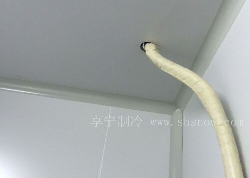 提子怎么在冷庫中進(jìn)行儲存