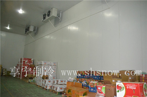 設(shè)計紅薯冷庫需要注意什么問題？