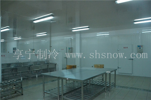 500平方多寶魚冷庫需要多少錢？