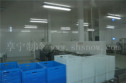 500平方多寶魚冷庫需要多少錢？