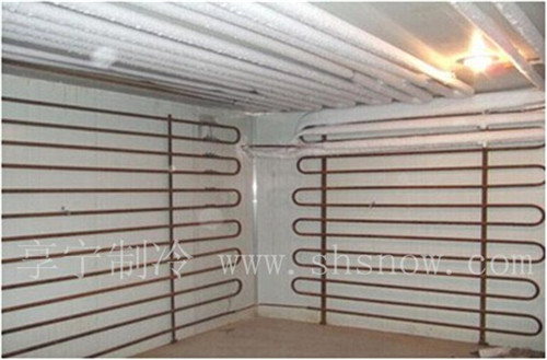 設(shè)計(jì)椰子冷庫(kù)需要注意什么問題