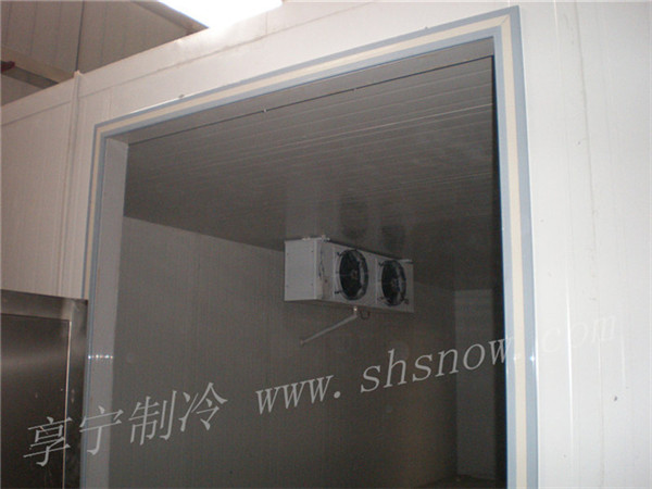 建造楊桃冷庫的優(yōu)勢有哪些