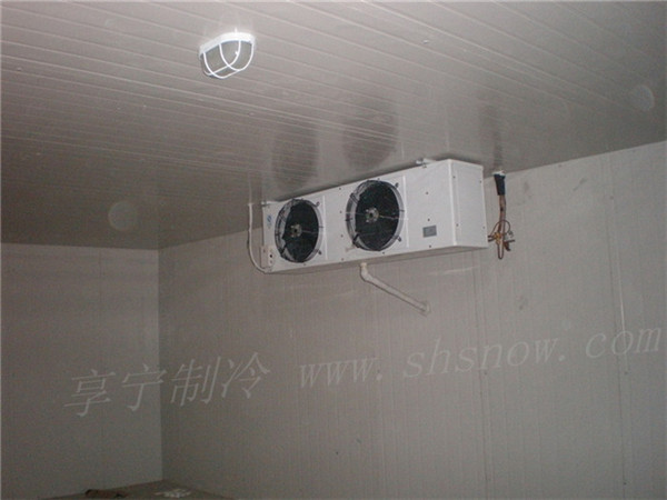 小型冷庫的用電問題有什么要求嘛