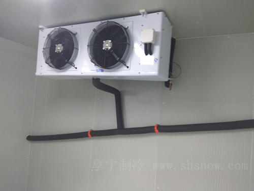 建造龍眼冷庫的優(yōu)勢有哪些