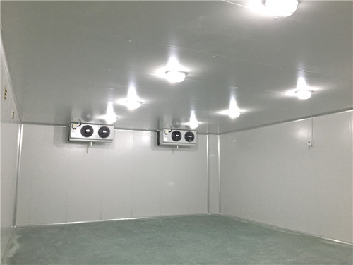 醫(yī)藥冷庫中的疫苗冷庫建造安裝有哪些要求呢？