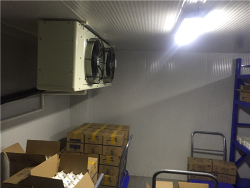 醫(yī)藥冷庫(kù)保養(yǎng)內(nèi)容有哪些需要注意的？