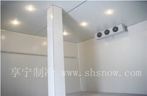 冷庫維護(hù)注意的事項(xiàng) 冷庫維護(hù)注意的事項(xiàng)