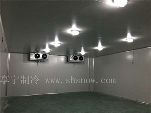 疫苗冷庫(kù)電力保障的重要性 疫苗冷庫(kù)電力保障的重要性