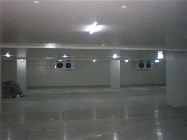 醫(yī)藥冷庫的溫度管理