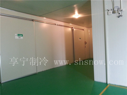 冷庫設(shè)計(jì)要點(diǎn) 冷庫設(shè)計(jì)要點(diǎn)