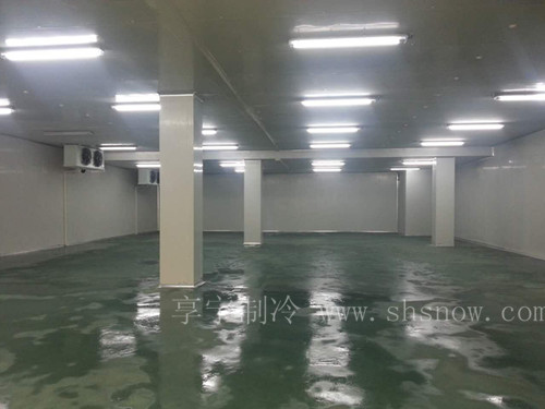 醫(yī)藥冷庫的電氣系統(tǒng)與自動(dòng)控制