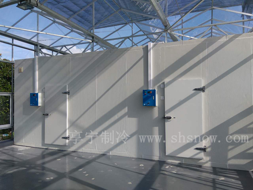 什么是自動化冷庫？